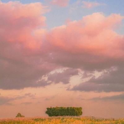 半岛官方体育网页登录