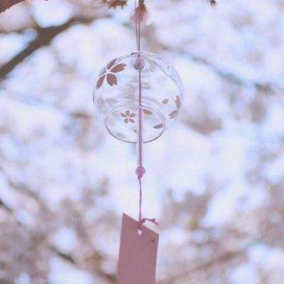 亚搏平台最新版app下载