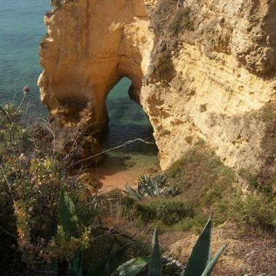 pg娱乐电子游戏官网app下载截图