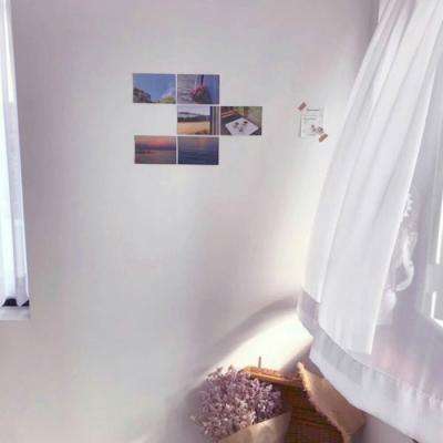 天下彩网站下载手机版